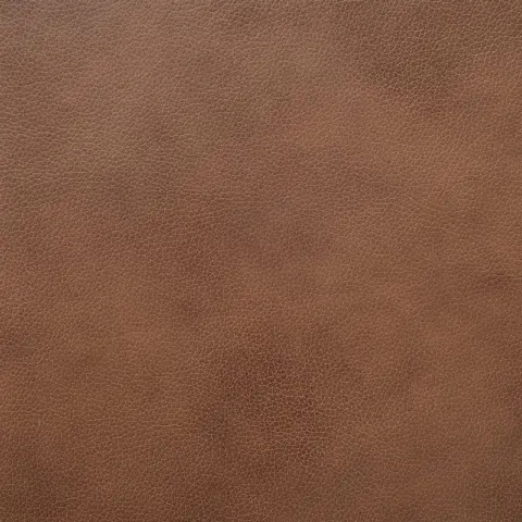 Isaac Leather Bumper Chaise Sectional Couch
